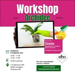 WORKSHOP ORCHIDEE 08-02-2026