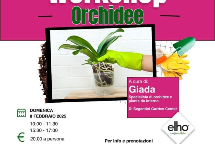 WORKSHOP ORCHIDEE 08-02-2026
