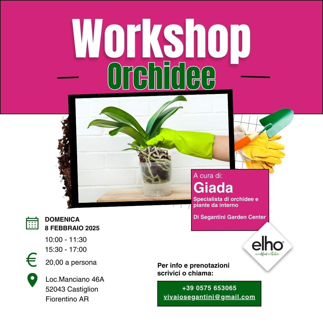 Workshop orchidee