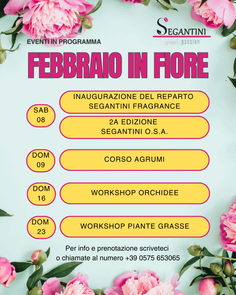 Calendario eventi febbraio Segantini Green Passion laboratorio botanico workshop agrumi orchidee succulente piante grasse cactus