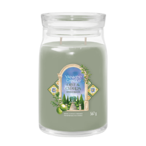 Yankee Candle OLIVE & CYPRESS