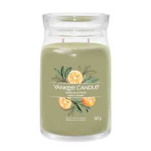 Yankee Candle SAGE & CITRUS