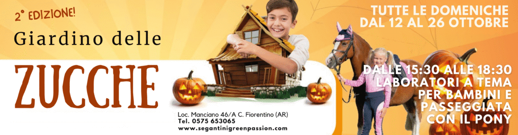 Piante per la tua casa Piante per la tua casa