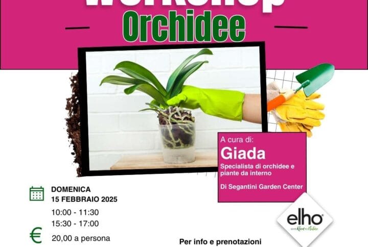 WORKSHOP ORCHIDEE 15-02-2026 TERNI