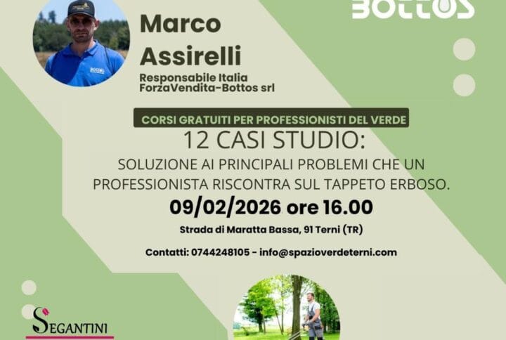 SOLUZIONE AI PRINCIPALI PROBLEMI CHE UN PROFESSIONISTA RISCONTRA SUL TAPPETTO ERBOSO