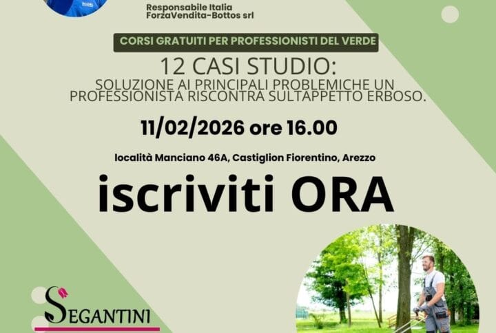 SOLUZIONE AI PRINCIPALI PROBLEMI CHE UN PROFESSIONISTA RISCONTRA SUL TAPPETTO ERBOSO