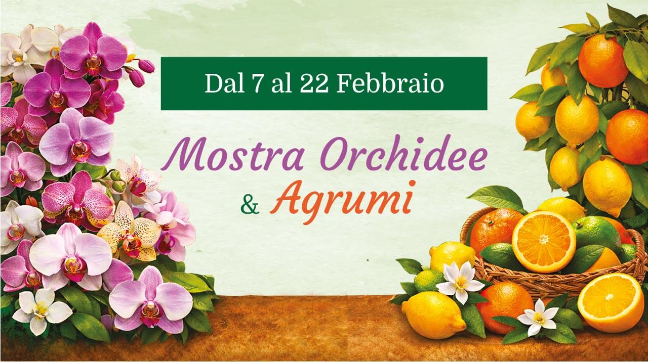 photo_2026-01-29_11-32-12